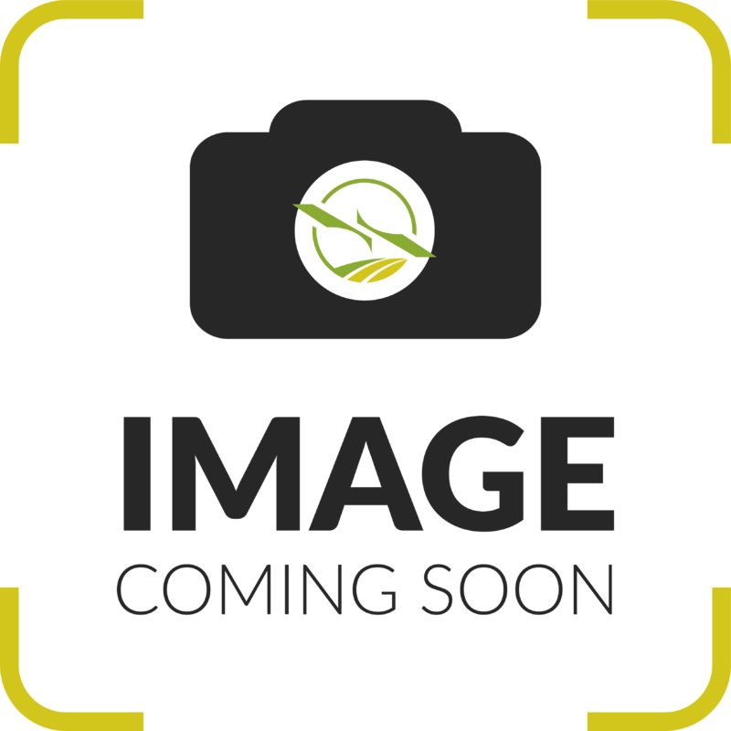 Foam - 75*57mm (T25P) YC.JG.MQ003058