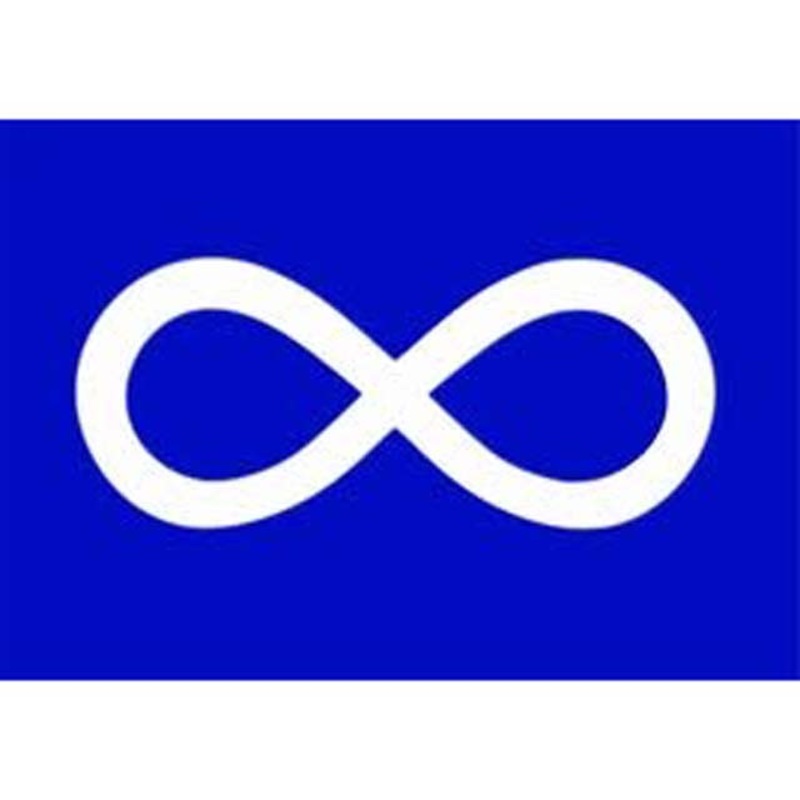 14932 - METIS BLUE SOUVENIR FLAG 3X5FT