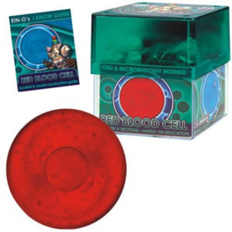 32371-RED - RED BLOOD CELL-CELL AND MICROBIO MICROBIOLOGY MODEL