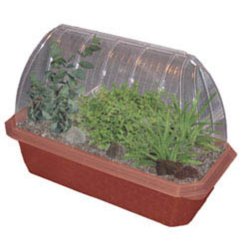 000056 - HEALING GARDEN WINDOWSILL GREEN HOUSE