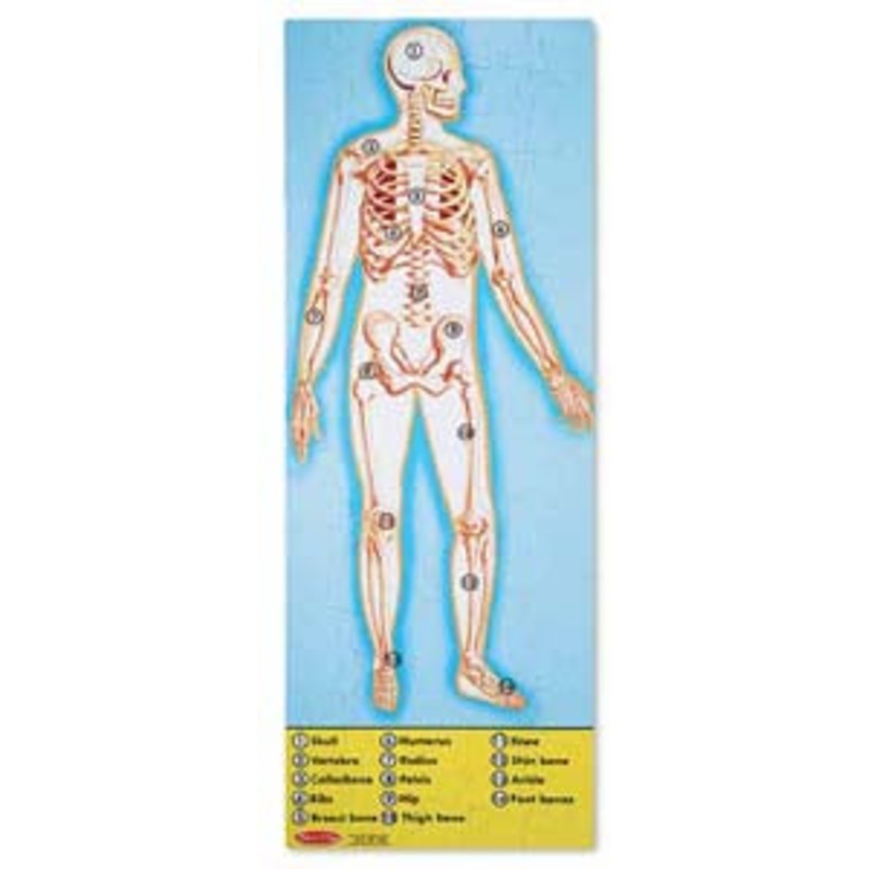 20445 - HUMAN ANATOMY FLOOR PUZZLE 100PCS