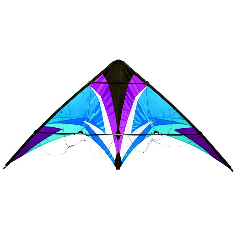 69.5" Thunderstruck Stunt Kite: Cool