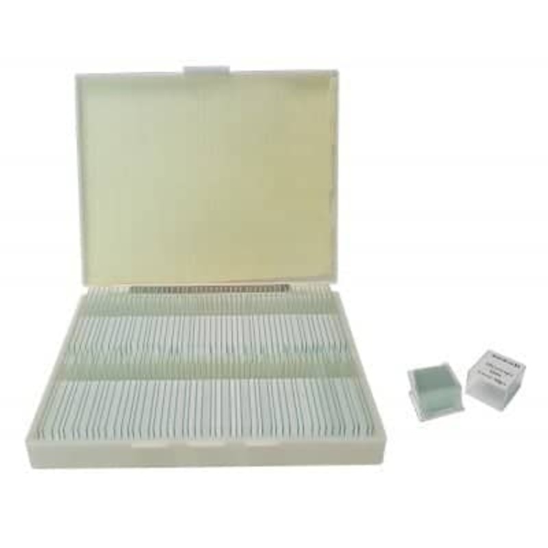 Saxon Blank Slides Kit with Box (100pcs)