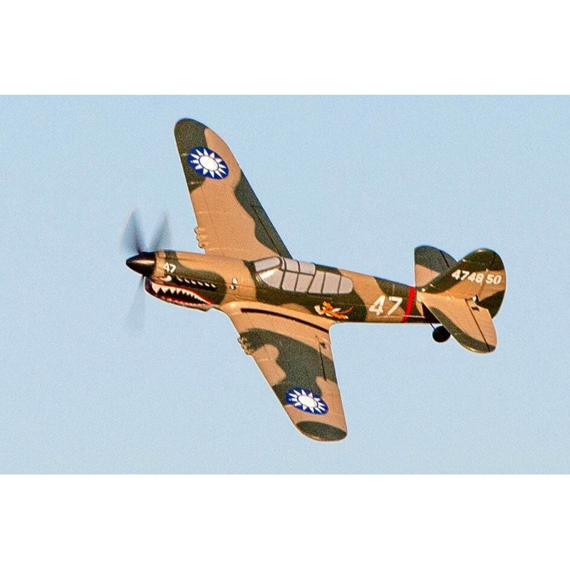 Curtiss P-40 Warhawk Micro RTF Airplane w/PASS System