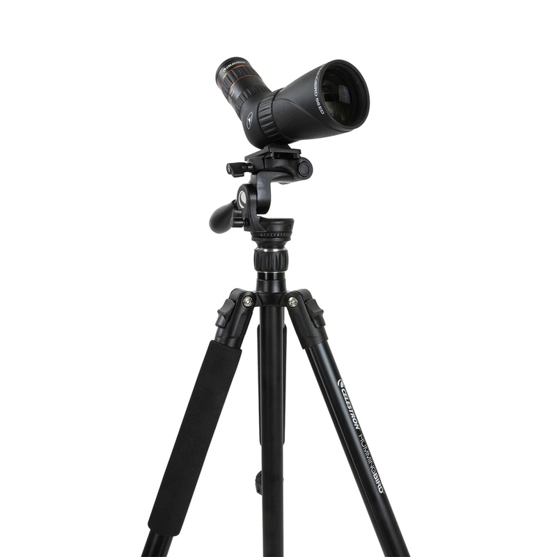 Tripod Hummingbird Fast Action Pan Tilt Head
