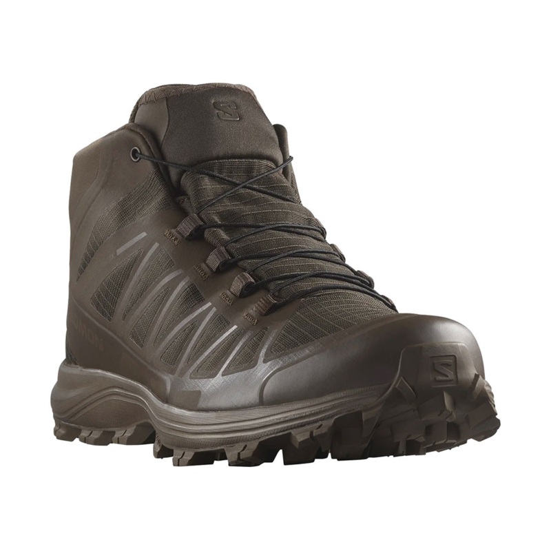 Alomon Peed Expedition 2 GTX Hiking Shoes, Earth Brown
