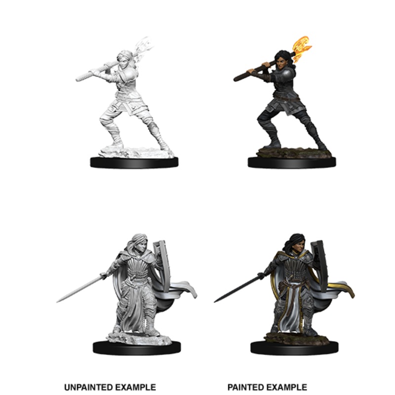 WizKids 73830 D&D Nolzurs Marvelous Miniatures: Female Human Paladin