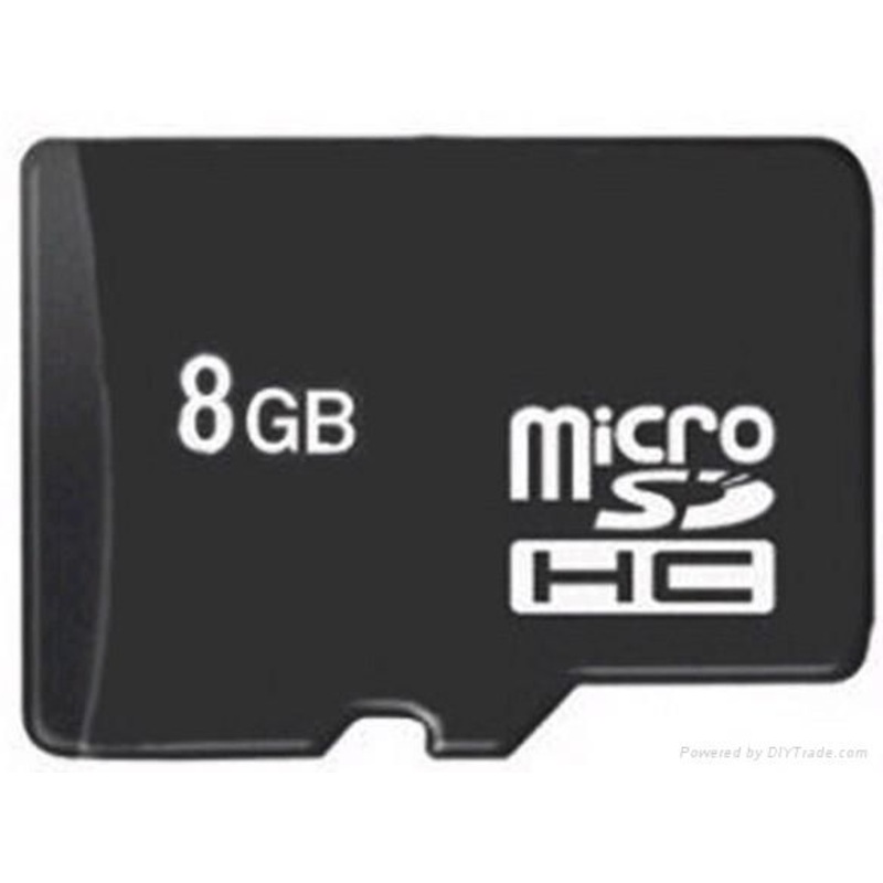 8GB Class 6 SD Card